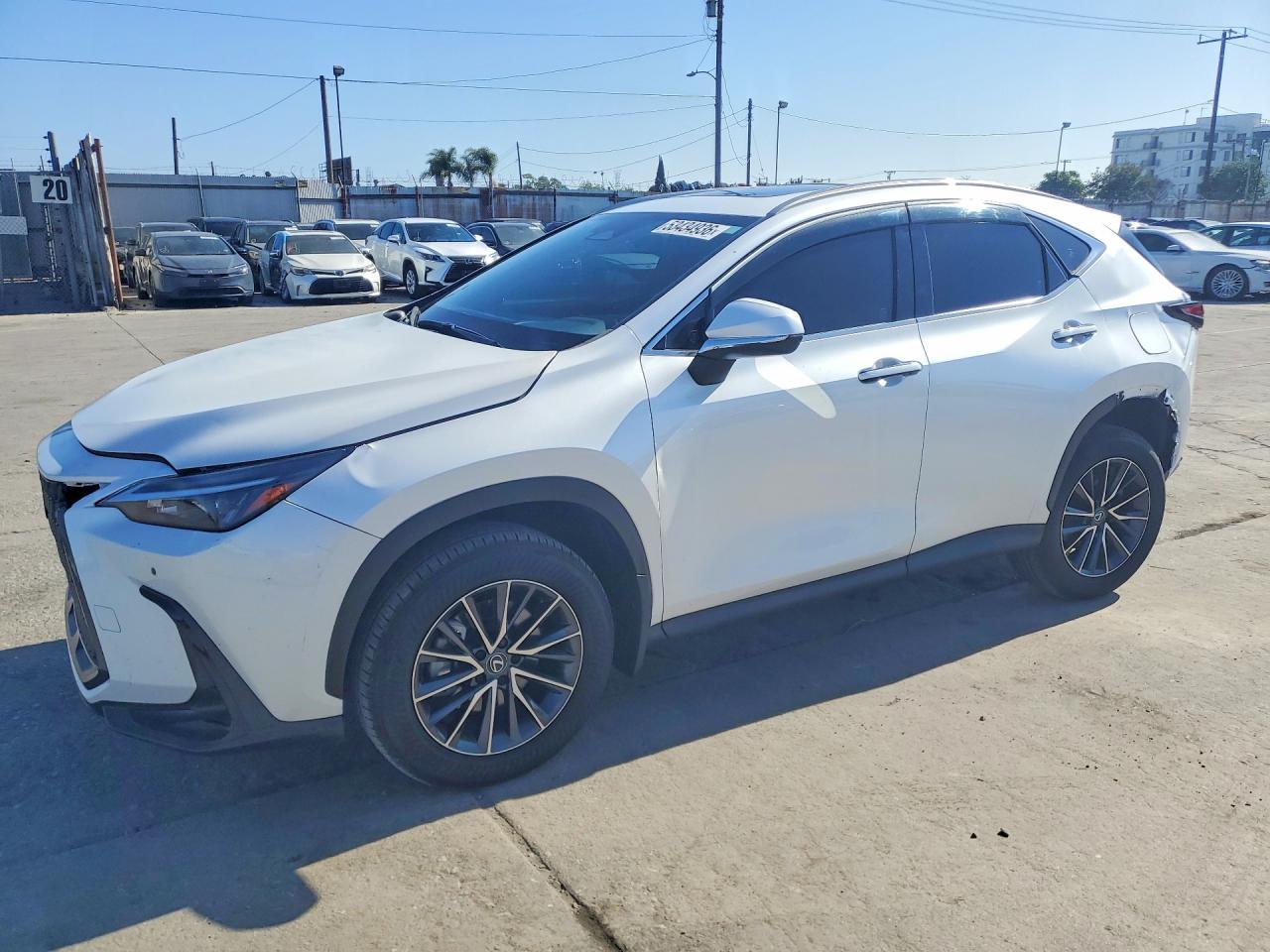 2025 LEXUS NX 250