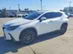 2025 LEXUS NX 250