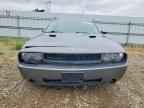 2010 DODGE Challenger