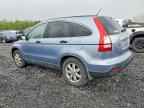2007 HONDA CR-V