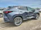 2026 LEXUS NX 350
