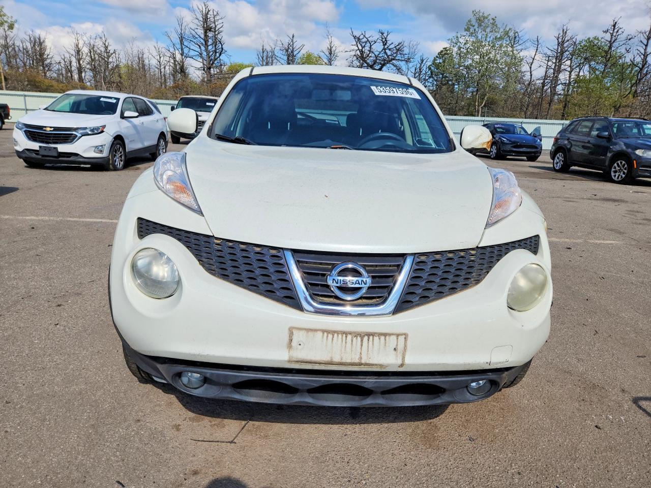 2011 NISSAN Juke