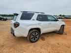 2025 TOYOTA 4Runner