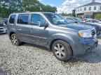 2013 HONDA PILOT