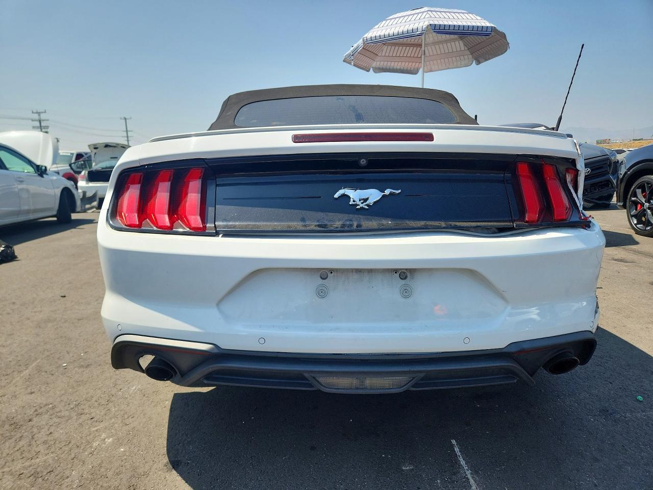 2019 FORD MUSTANG