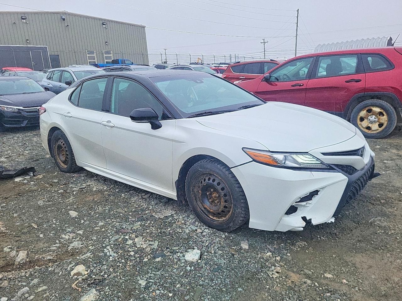 2019 TOYOTA CAMRY