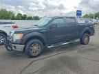 2010 FORD F-150 Lightning