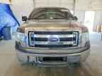 2013 FORD F-150 Lightning