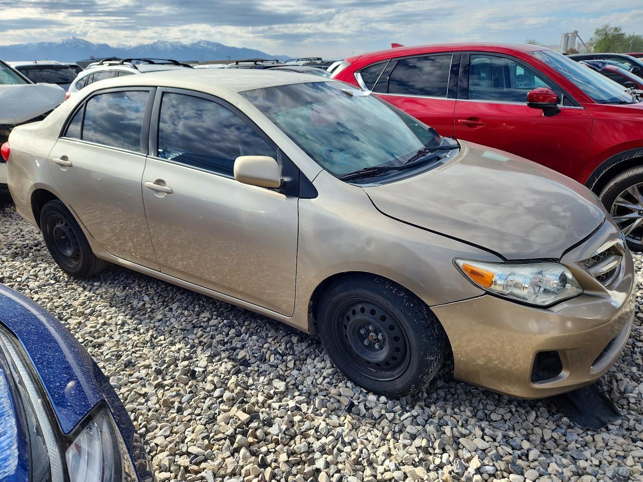 2011 TOYOTA COROLLA