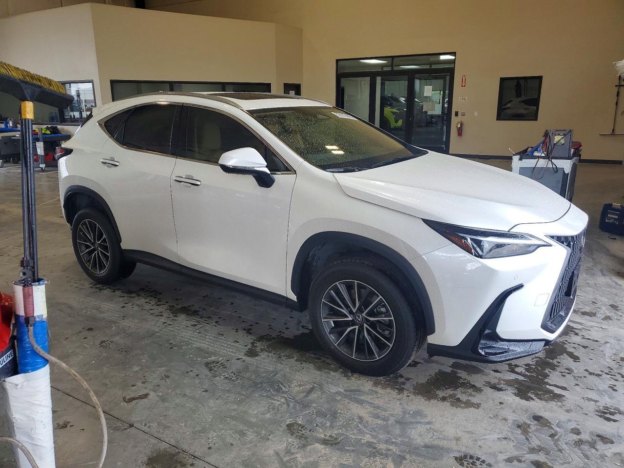2024 LEXUS NX 350