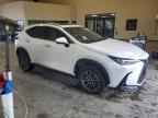 2024 LEXUS NX 350