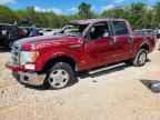 2013 FORD F-150 Lightning