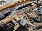 2007 LEXUS LS 460