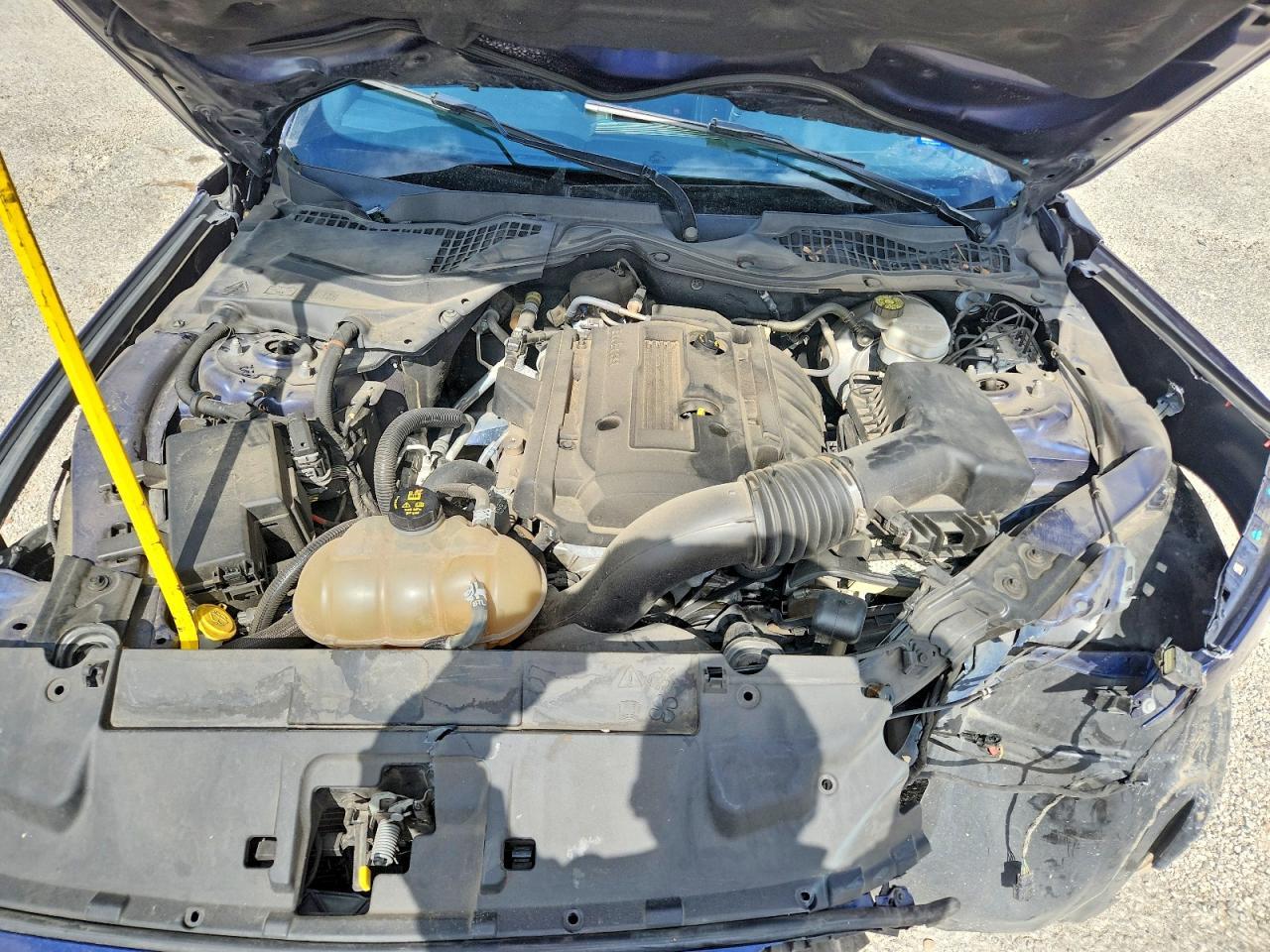 2019 FORD MUSTANG