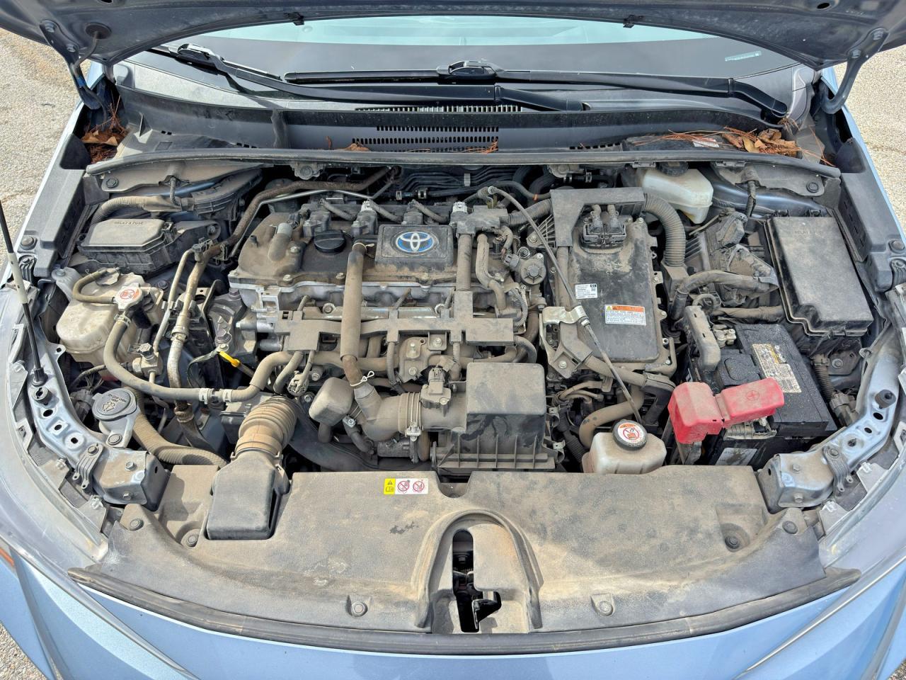 2022 TOYOTA COROLLA