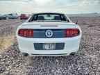 2013 FORD MUSTANG