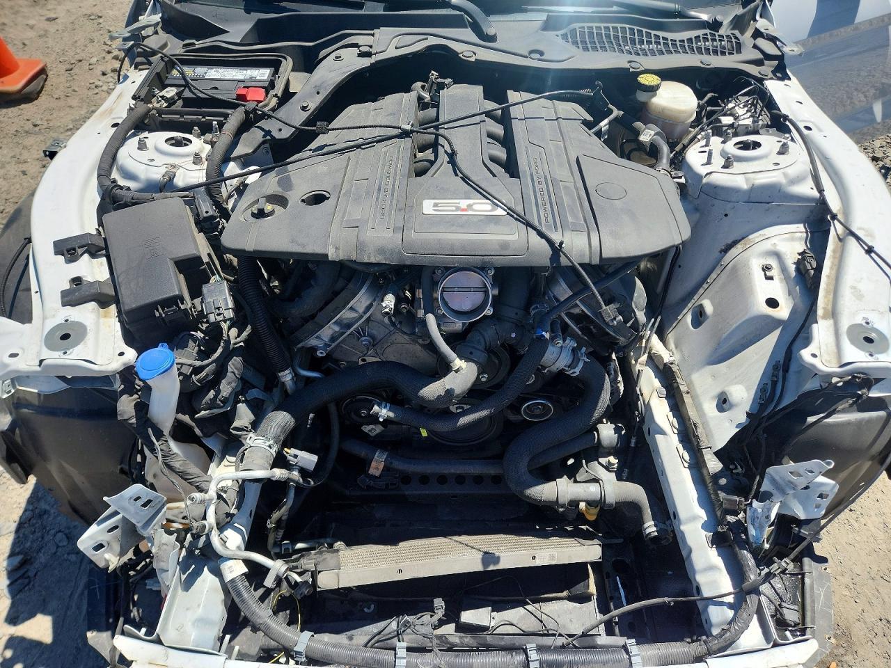 2022 FORD MUSTANG
