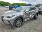2021 LEXUS NX 300