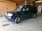 2010 HONDA Element