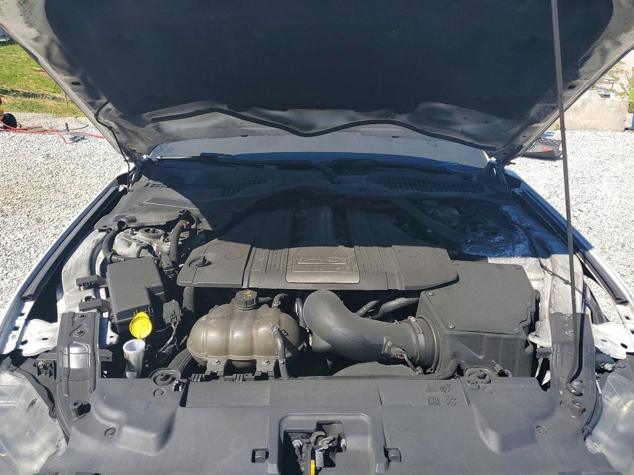 2019 FORD MUSTANG