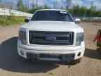 2013 FORD F-150 Lightning