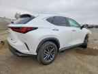 2025 LEXUS NX 250