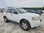 2010 FORD Escape Hybrid