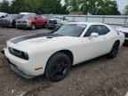 2010 DODGE Challenger
