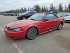 2004 FORD MUSTANG
