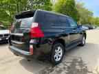 2010 LEXUS GX 460