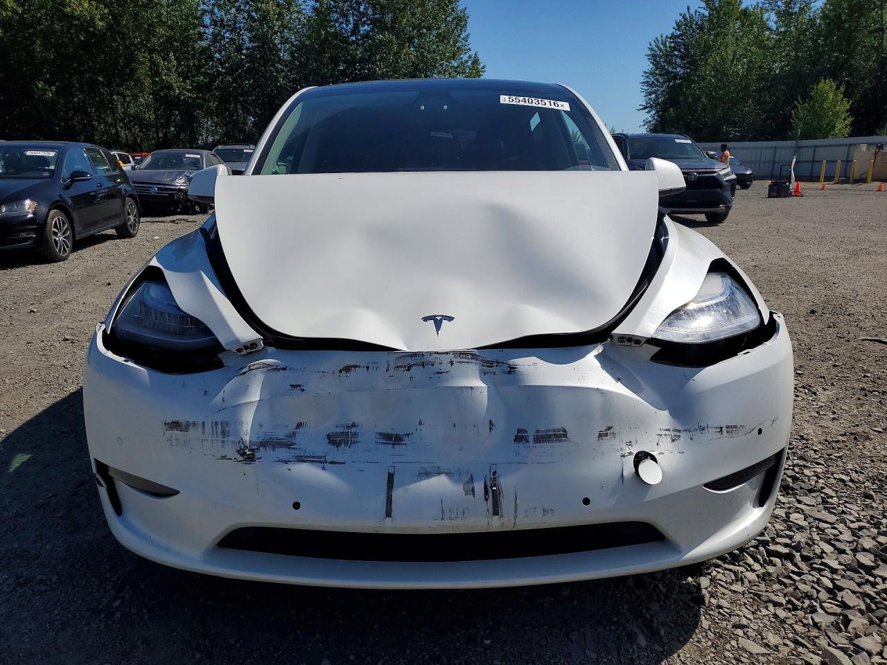 2021 TESLA MODEL Y