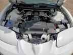 1999 PONTIAC Firebird