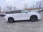 2024 LEXUS TX 350