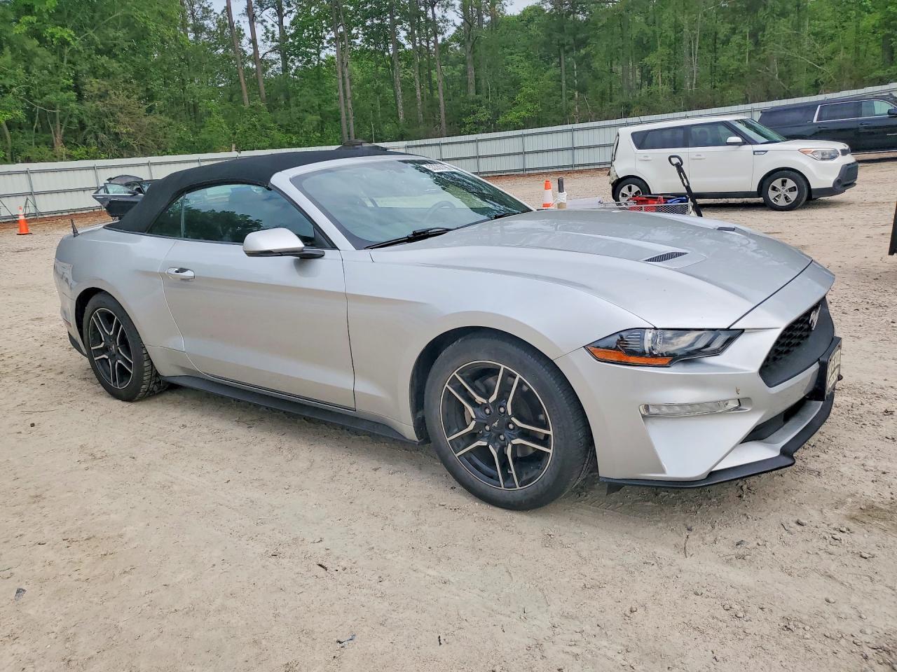 2019 FORD MUSTANG