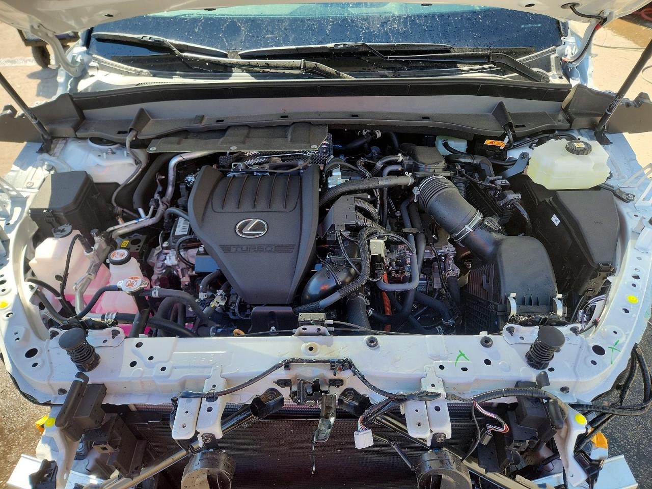2026 LEXUS TX 500H