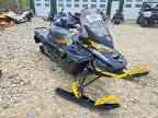 2023 SKIDOO RENEGADE