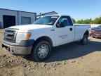 2013 FORD F-150 Lightning