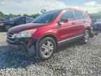 2010 HONDA CR-V