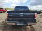 2010 FORD F-150 Lightning