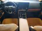 2024 LEXUS NX 350
