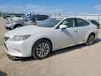 2013 LEXUS ES 300H