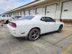 2010 DODGE Challenger