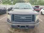 2010 FORD F-150 Lightning