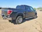 2013 FORD F-150 Lightning