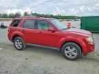 2009 FORD ESCAPE