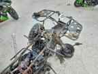 2025 HONDA Rancher