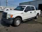 2010 FORD F-150 Lightning
