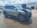 2020 LEXUS GX 460