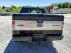 2010 FORD F-150 Lightning