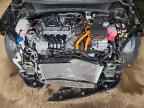 2026 KIA Niro